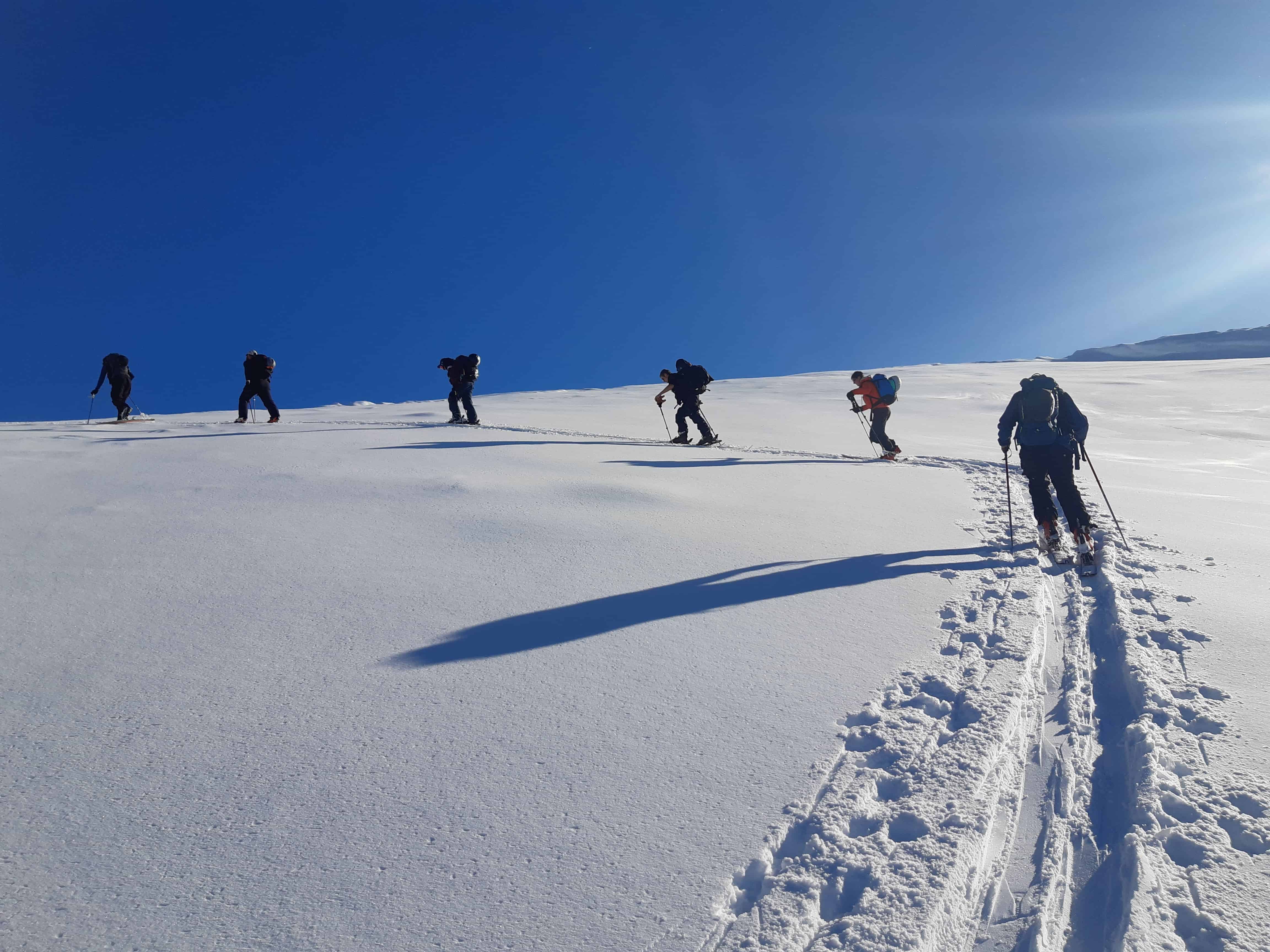 Wanaka Mountain Guides [] Heli-ski and Splitboard Tours