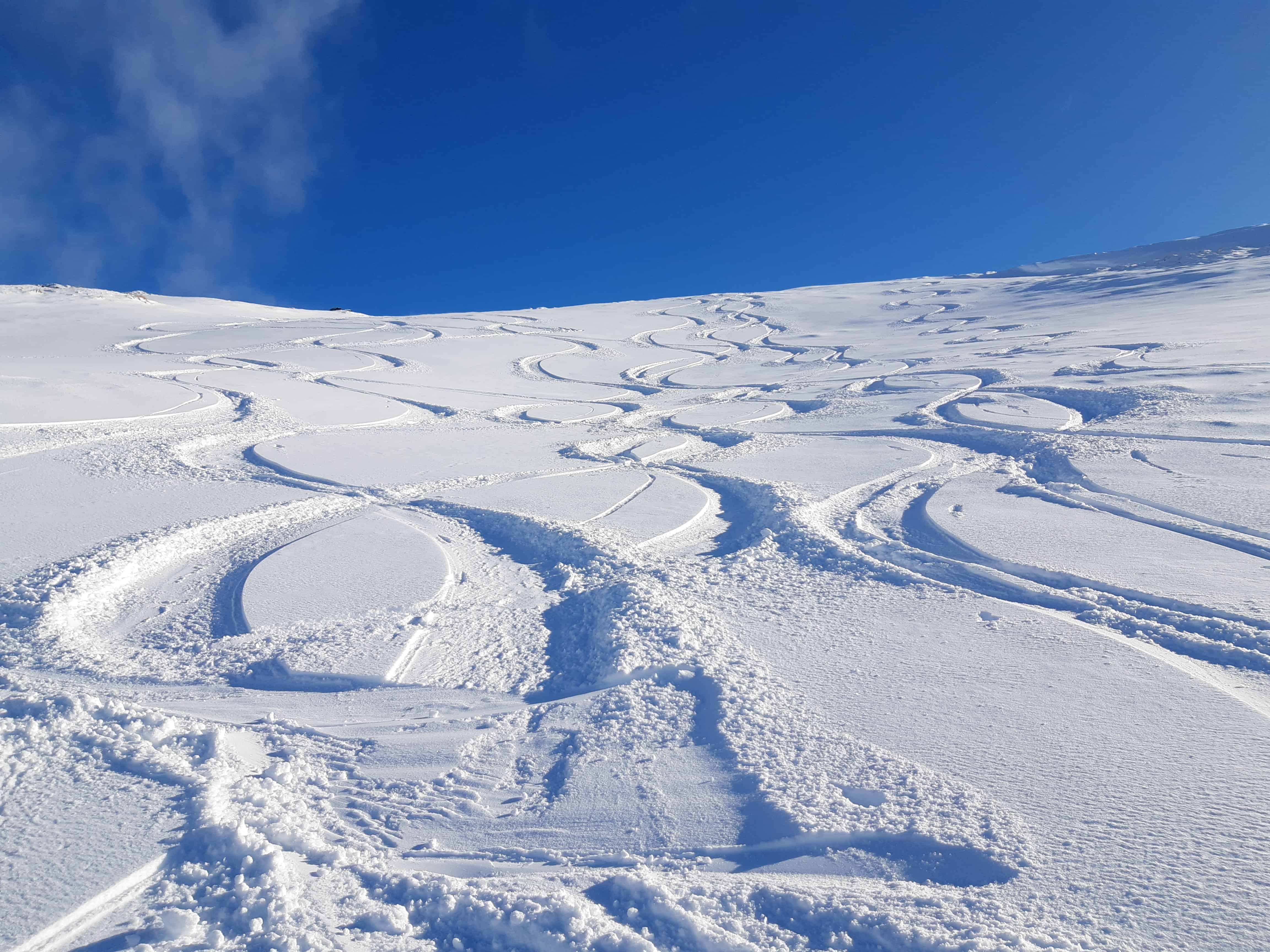 Wanaka Mountain Guides [] Heli-ski and Splitboard Tours