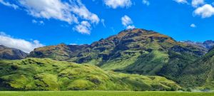 WÄnaka Mountain Guides - Wanaka Day Hikes