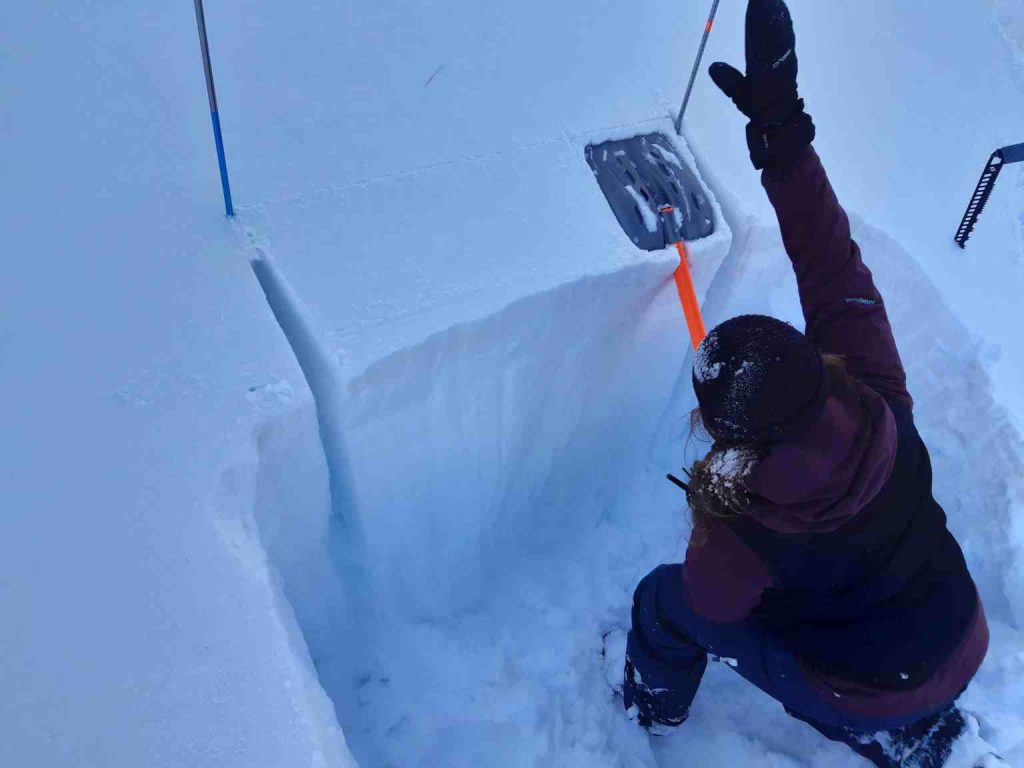 Avalanche Skills Course 1