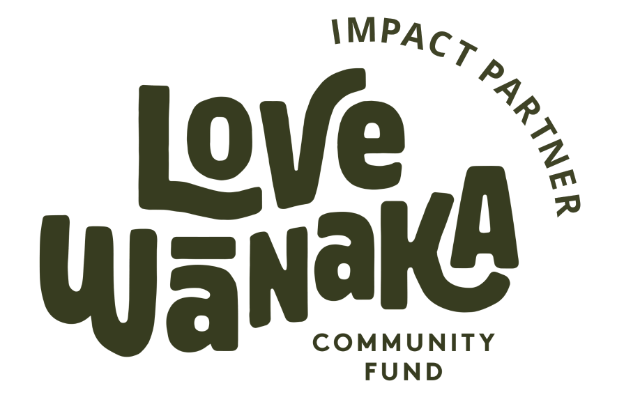 WÄnaka Mountain Guides - Home