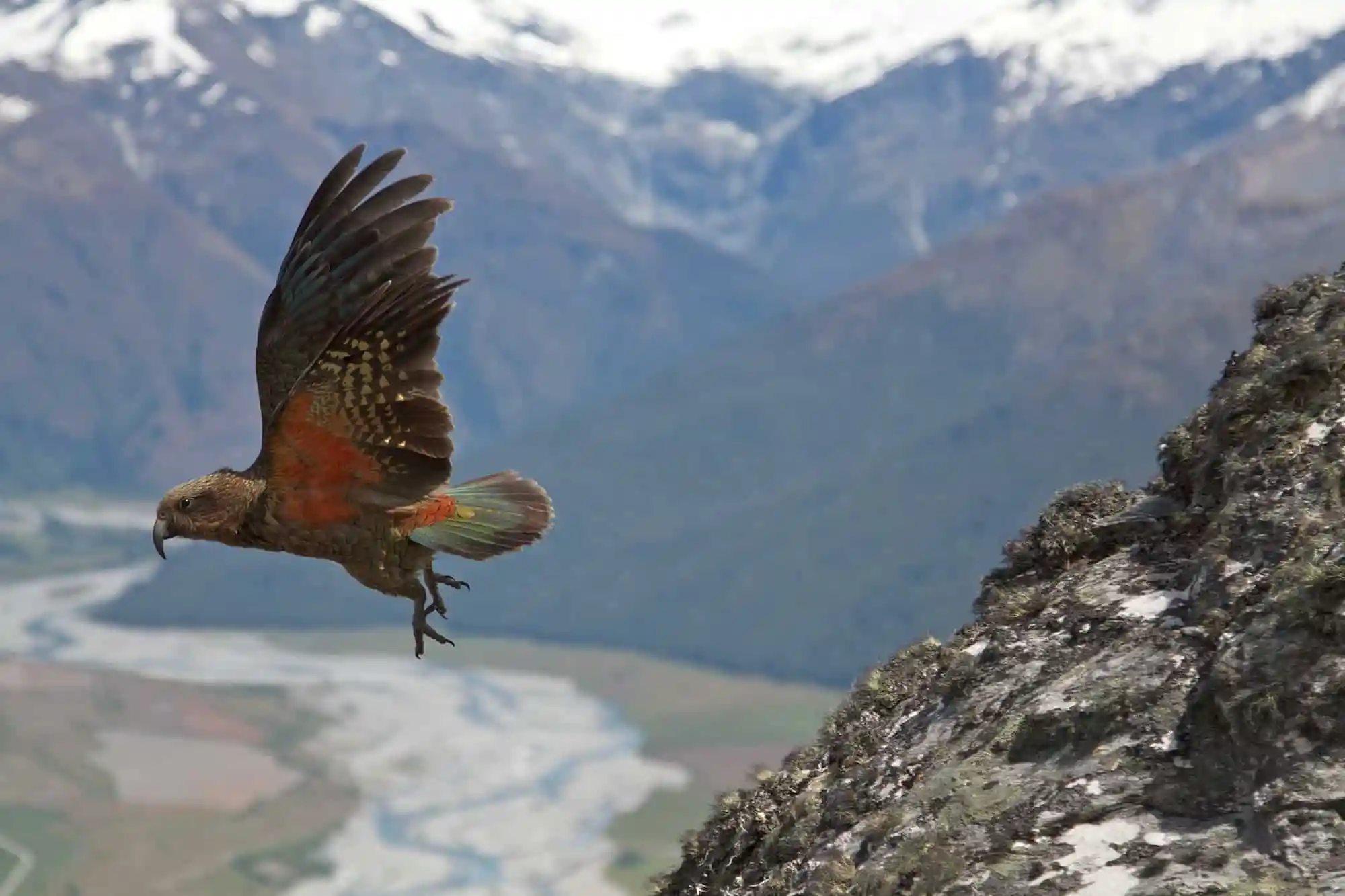 WÄnaka Mountain Guides - Our Story